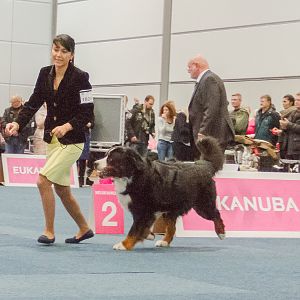 IMG_5046