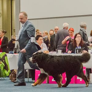 IMG_5025