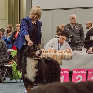 IMG_4995