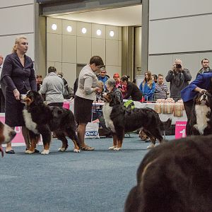 IMG_4960