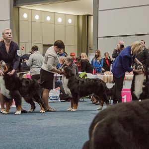 IMG_4959