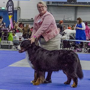 IMG_6327