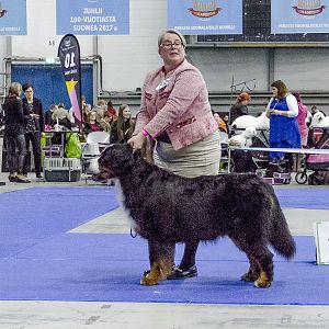 IMG_6315