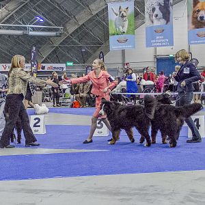 IMG_6304