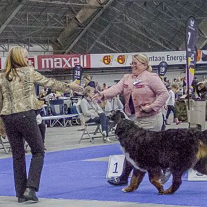 IMG_6290