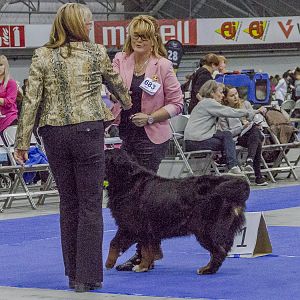 IMG_5980