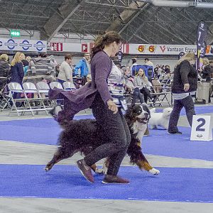 IMG_5954