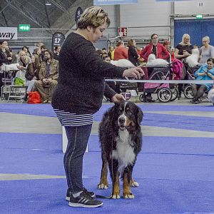 IMG_5942
