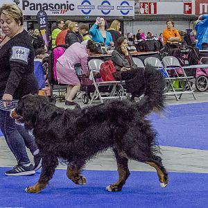 IMG_5931