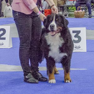 IMG_5927