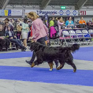 IMG_5914