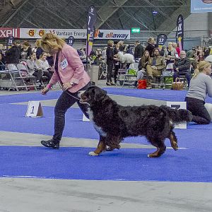 IMG_5910