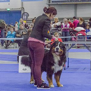 IMG_5880
