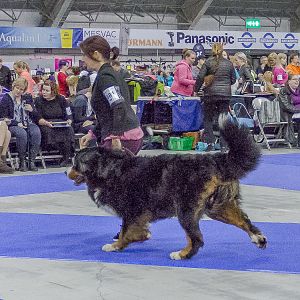 IMG_5874