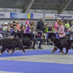 IMG_5849