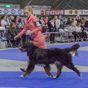 IMG_5798