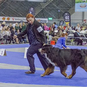 IMG_5774