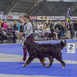 IMG_5762