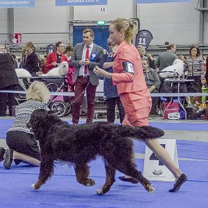 IMG_5718