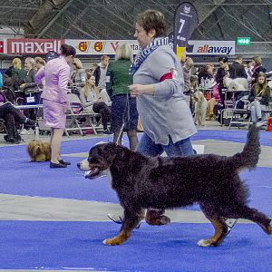 IMG_5666