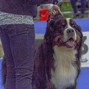 IMG_5658