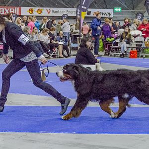 IMG_5651