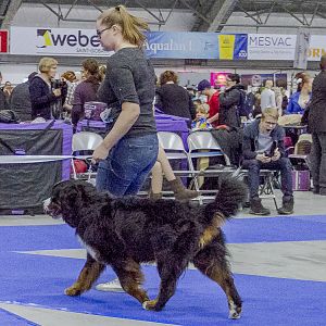 IMG_5639