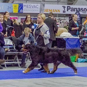 IMG_5578