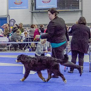 IMG_5512