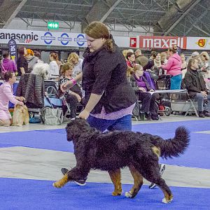 IMG_5502