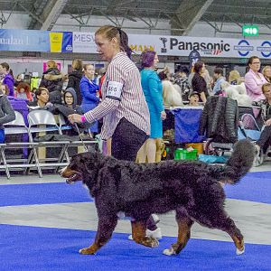 IMG_5490