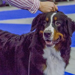 IMG_5462