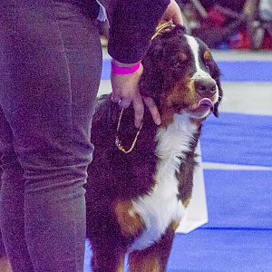 IMG_5430