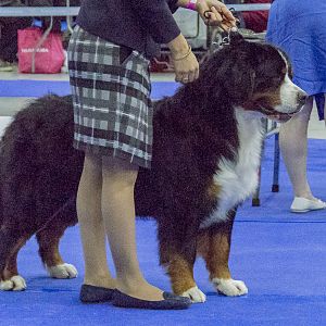 IMG_5754
