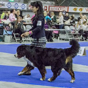 IMG_5745