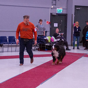 IMG_9987.jpg