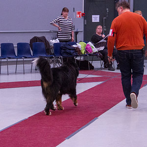 IMG_9981.jpg