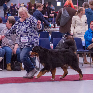 IMG_9834.jpg