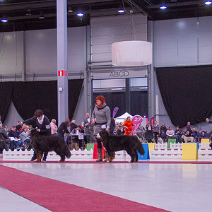 IMG_9770.jpg