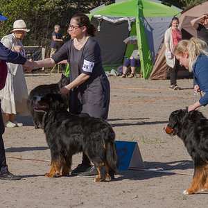 IMG_1682-7.jpg