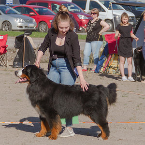 IMG_1697-11.jpg
