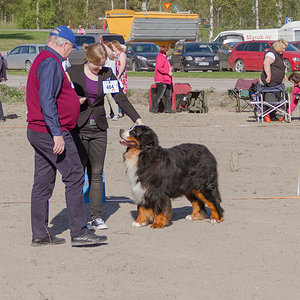 IMG_1708-14.jpg