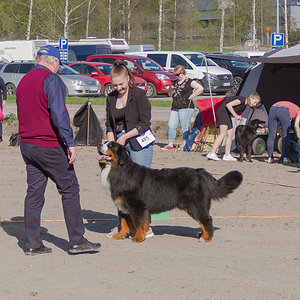IMG_1709-15.jpg
