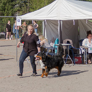 IMG_1711-16.jpg