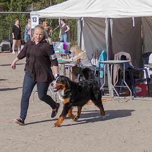 IMG_1712-17.jpg