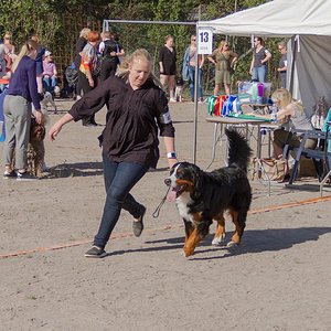 IMG_1715-18.jpg
