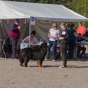 IMG_1748-27.jpg