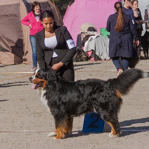 IMG_1763-32.jpg