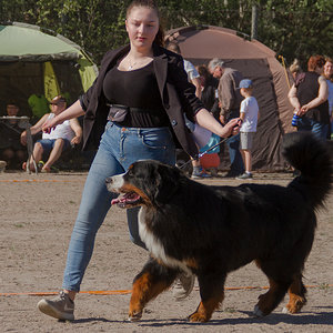 IMG_1765-33.jpg