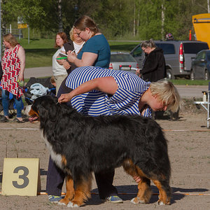 IMG_1808-48.jpg